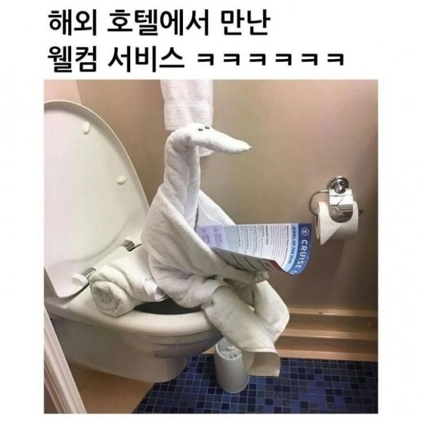 IMG_3515.jpeg