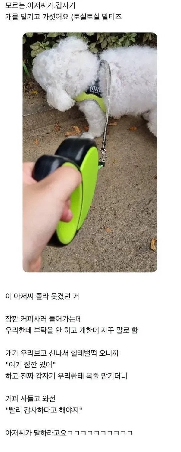 IMG_3542.jpeg