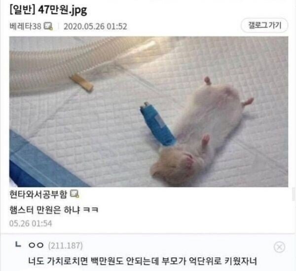 IMG_3597.jpeg