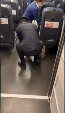 IMG_3634.gif