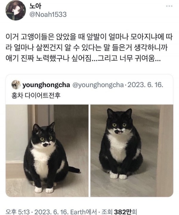 IMG_3681.jpeg