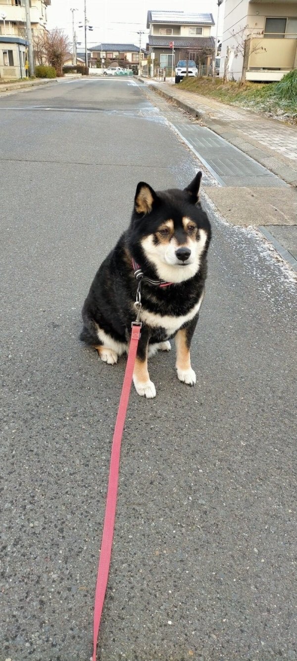 IMG_3823.jpeg