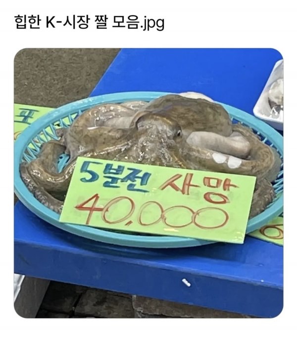 IMG_4038.jpeg